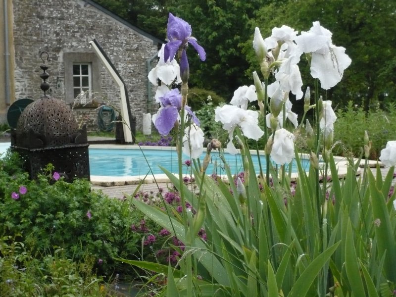 Manoir du Prieuré_53170 BAZOUGERS_22